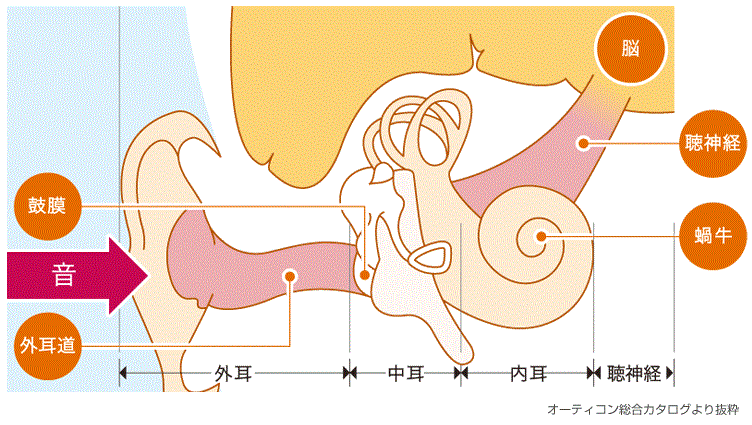 ブーン 耳鳴り